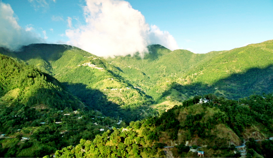 bunao-Blue_Mountains_Jamaica
