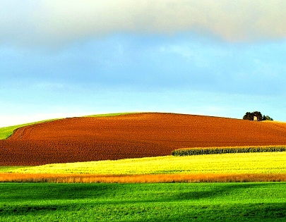 VillaVitalis-NaturLandschaft- (2)