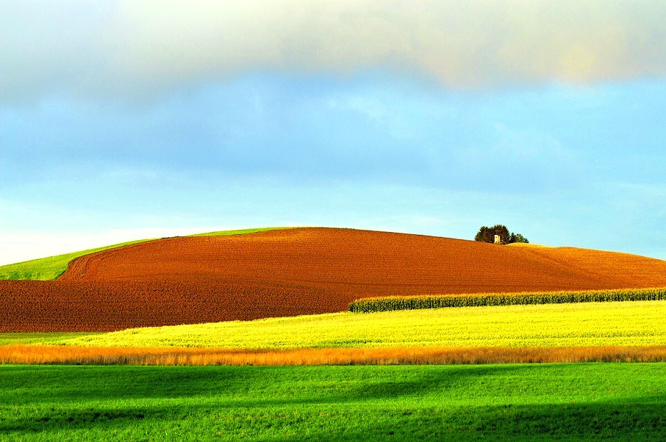 VillaVitalis-NaturLandschaft-1