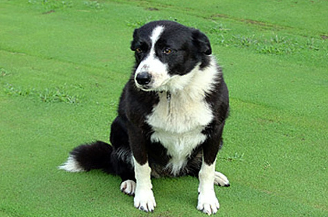y_keswickhall-wendy