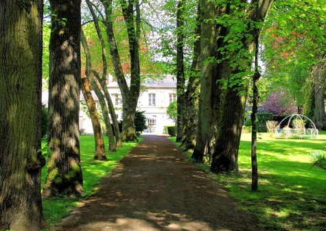 Pierre Brice-Haus-Allee300Jahr-Baeume (2)
