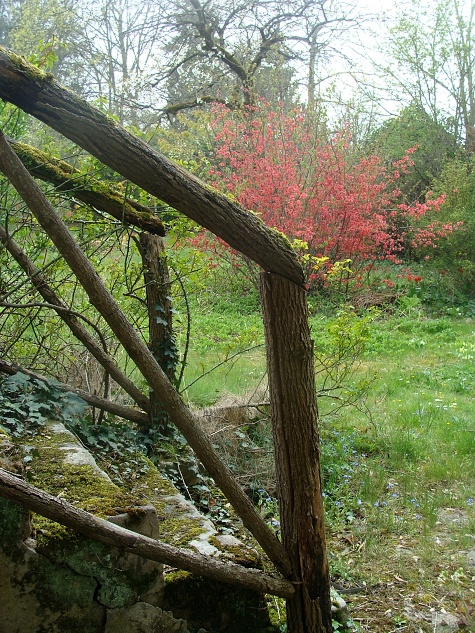 Escalier-Vue-jardin (2)