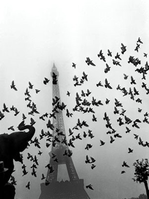 eiffelturm-paris-001