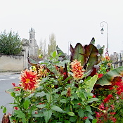 Moret-Loing-Fleur-2-mini