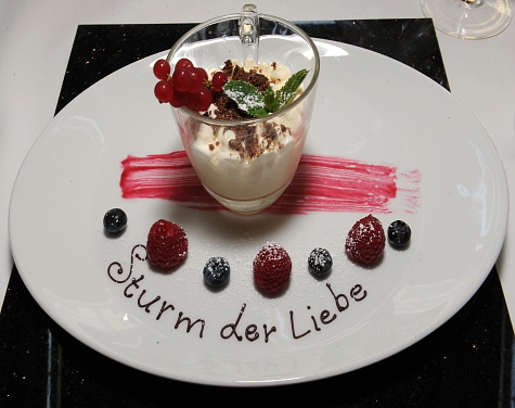 sdl_6161 (2)