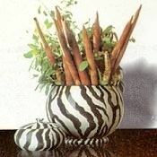 stillife-pencil1