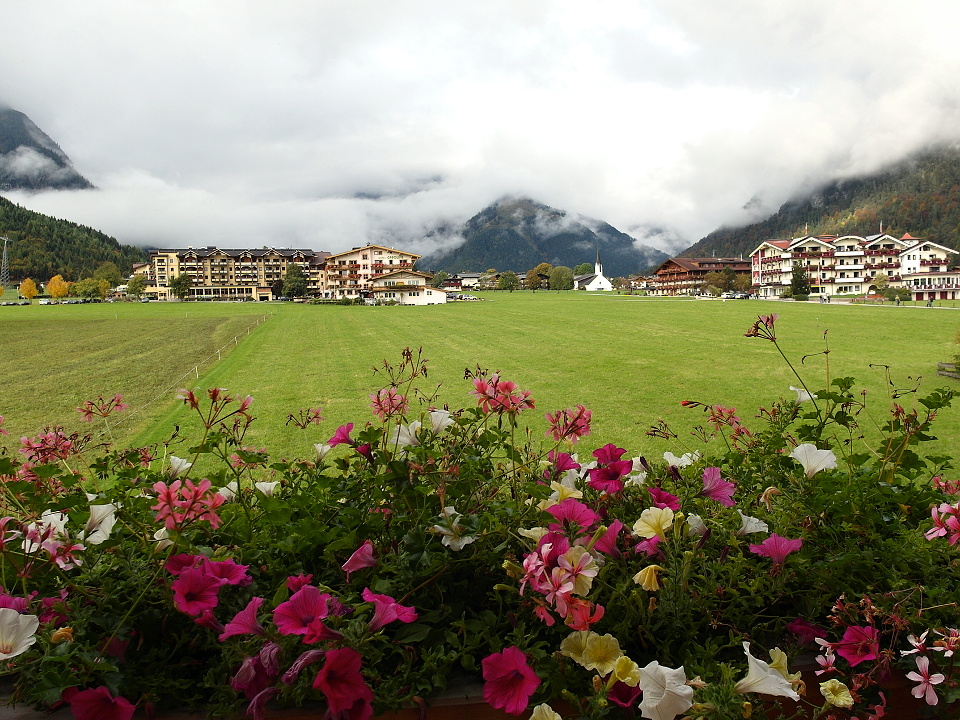 SAM_0562 (2)