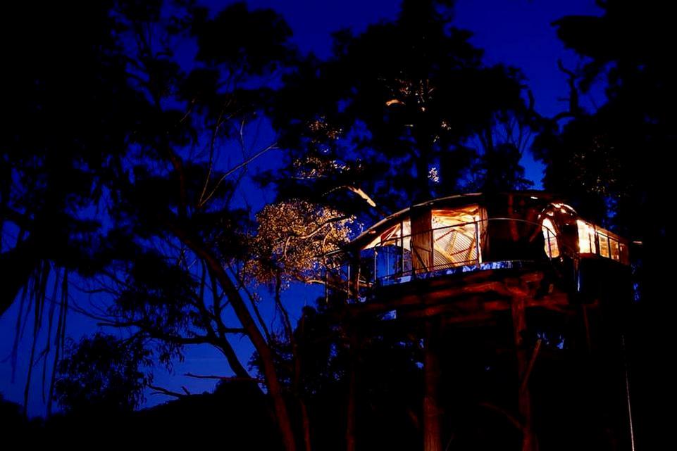 _Treehouse Blue Mountains_r
