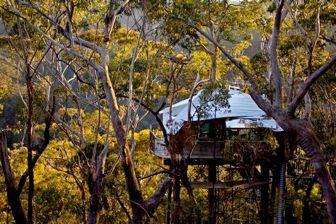 _Treehouse Blue Mountains_s