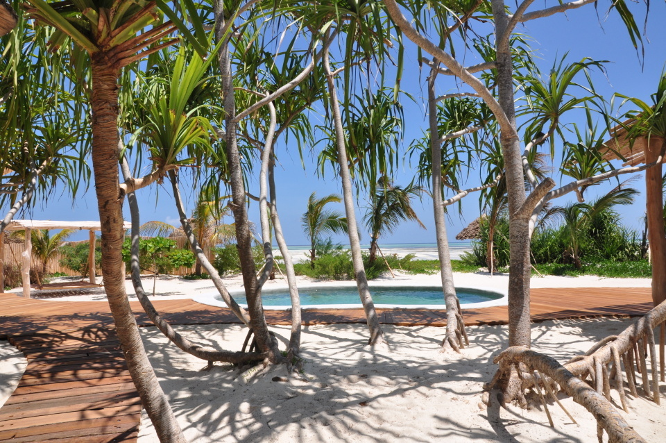 Zansibar-Palms+pool (2)