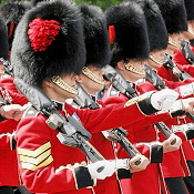 buckingham-guard