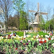 tulpen-muehle-park (2)1